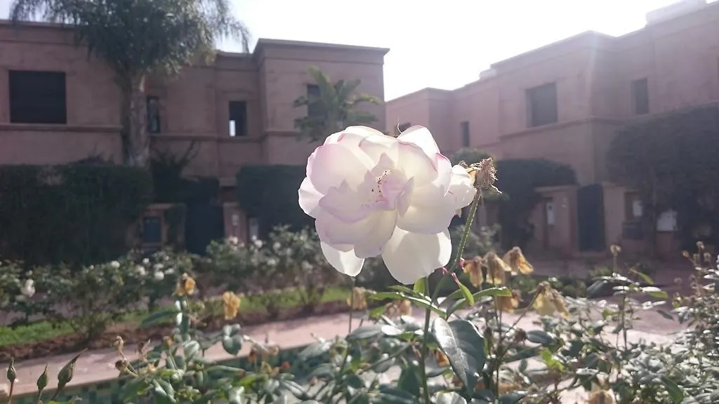 Olivier Villa Marrakesh 0*,